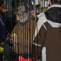 WFG_fishing_expo_pix_030212_pix_04.jpg