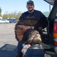 WFG_turkeys_043012_pix_06.jpg