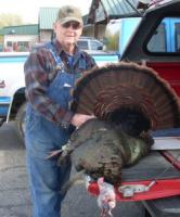 WFG_turkeys_043012_pix_07.jpg